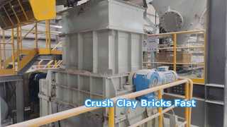 Trituradora de rodillo del diente