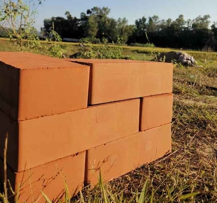 Línea 2,5 ~ de Clay Brick Making Machine Production del fango presión de extrudado 2.8MPa