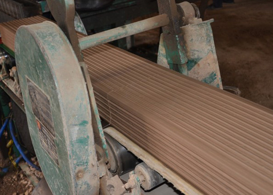 Máquina de moldear del ladrillo hueco de Ash Automatic Clay Brick Machine de la mosca con el secador