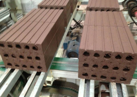 Cortadora automática llena del ladrillo de la pared de la máquina hueco resistente del corte por bloques
