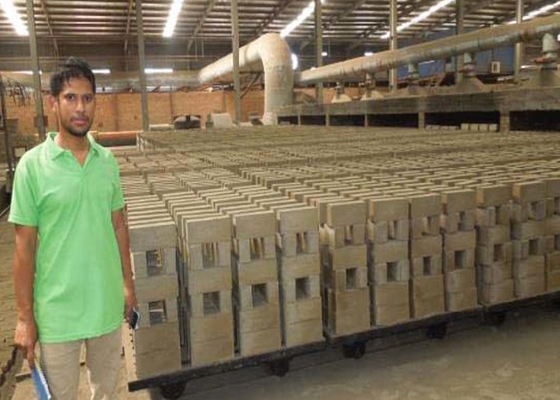 Lleve un carro más seco del equipo de la cámara de Clay Brick Dryer Machine Drying de la resistencia