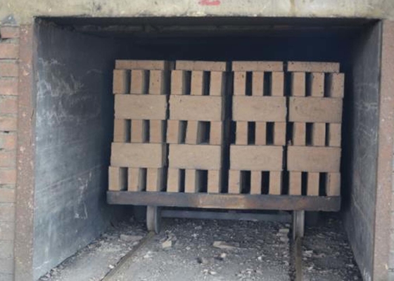 Resistencia sólida semi automática del desgaste del carro de Clay Brick Dryer Machine Dry