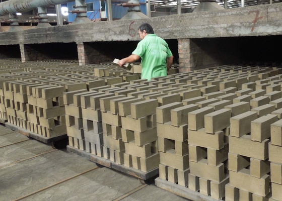 Resistencia sólida semi automática del desgaste del carro de Clay Brick Dryer Machine Dry