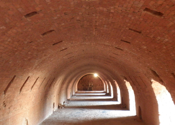 Línea de Clay Hollow Brick Machine Production para la planta del horno de Hoffman