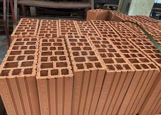 Línea de producción automática para la fabricación de bloques huecos de arcilla con secador de túnel y grandes capacidades de 800 toneladas / día